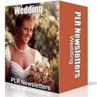Nichos de Casamento Newsletters