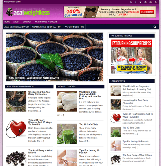 Perda de peso Açaí PLR Blog
