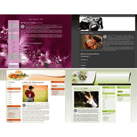 Tema WordPress Blowout V2