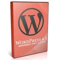 Curso para Iniciantes em Vídeo para WordPress