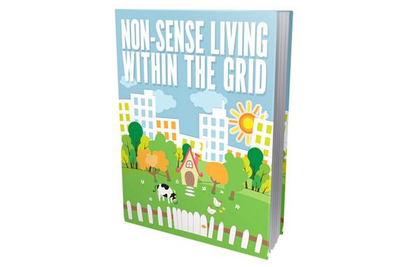 Non-Sense Living Within The Grid